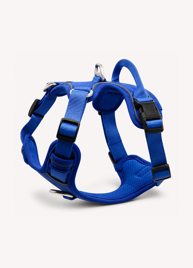 Blue no-pull reflective adjustable dog harness SKU product image