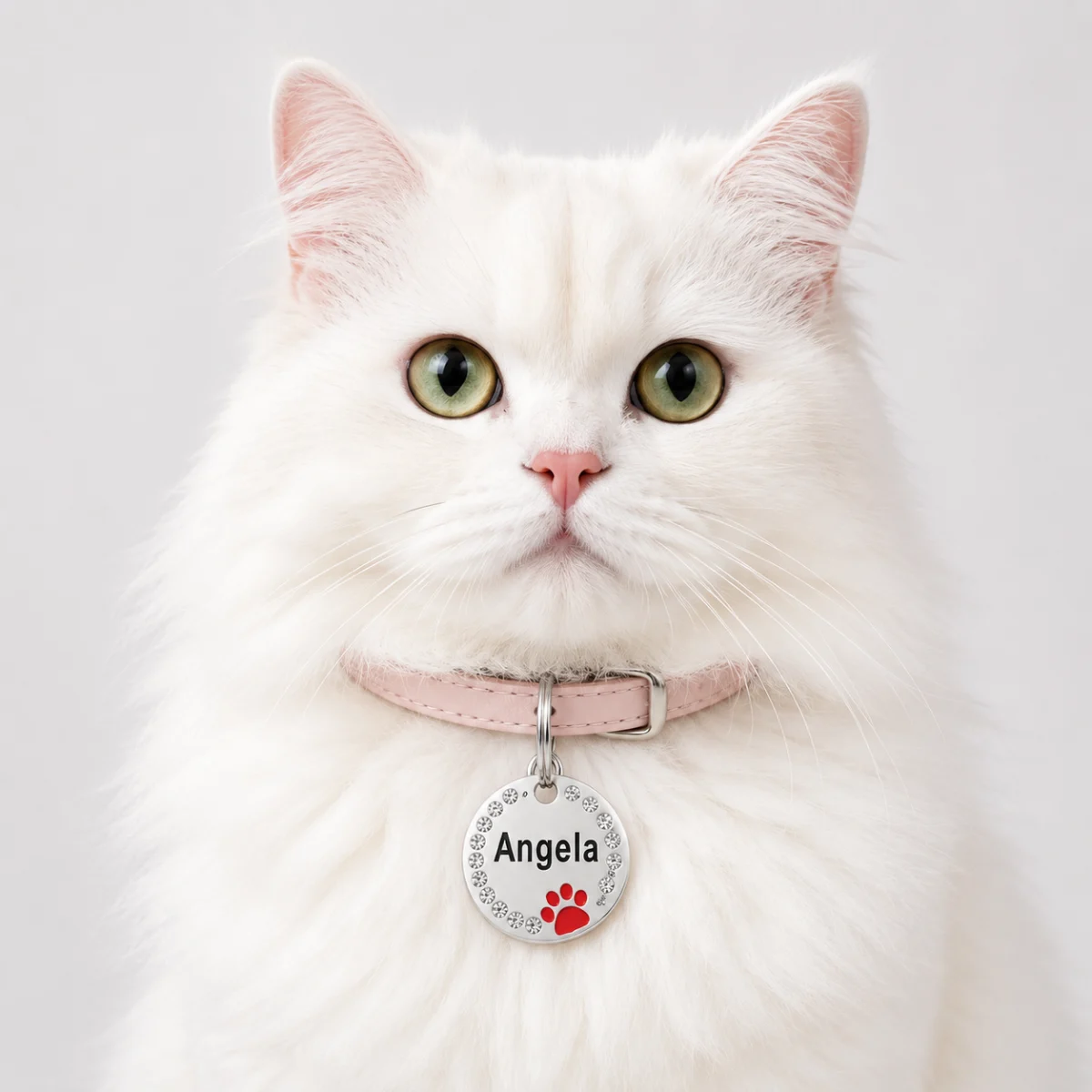 Cat wearing a rhinestone paw print ID tag on its collar