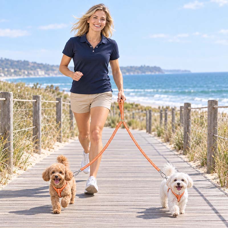 Woman walking two small dogs on a seaside boardwalk with an orange and white double dog leash