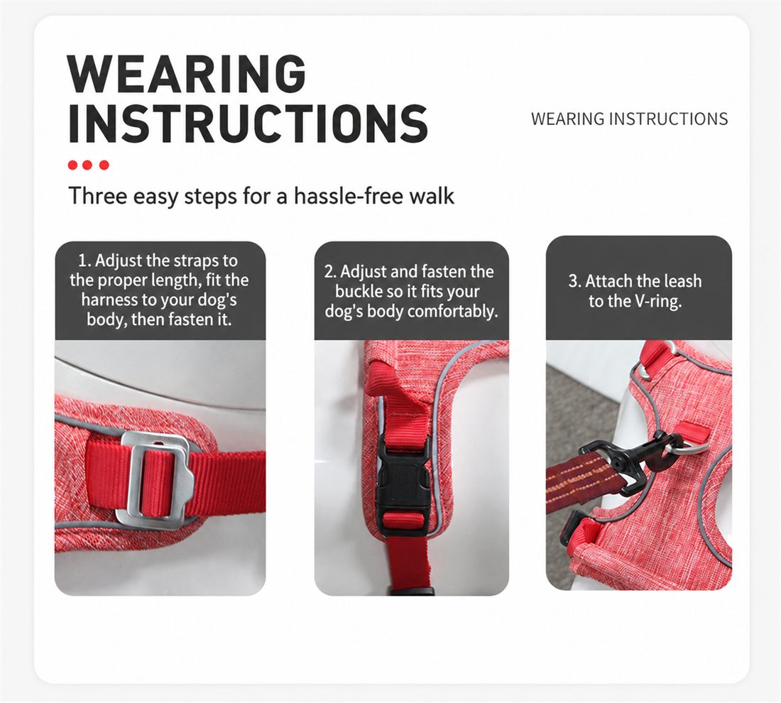 No-pull dog harness size and product detail guide