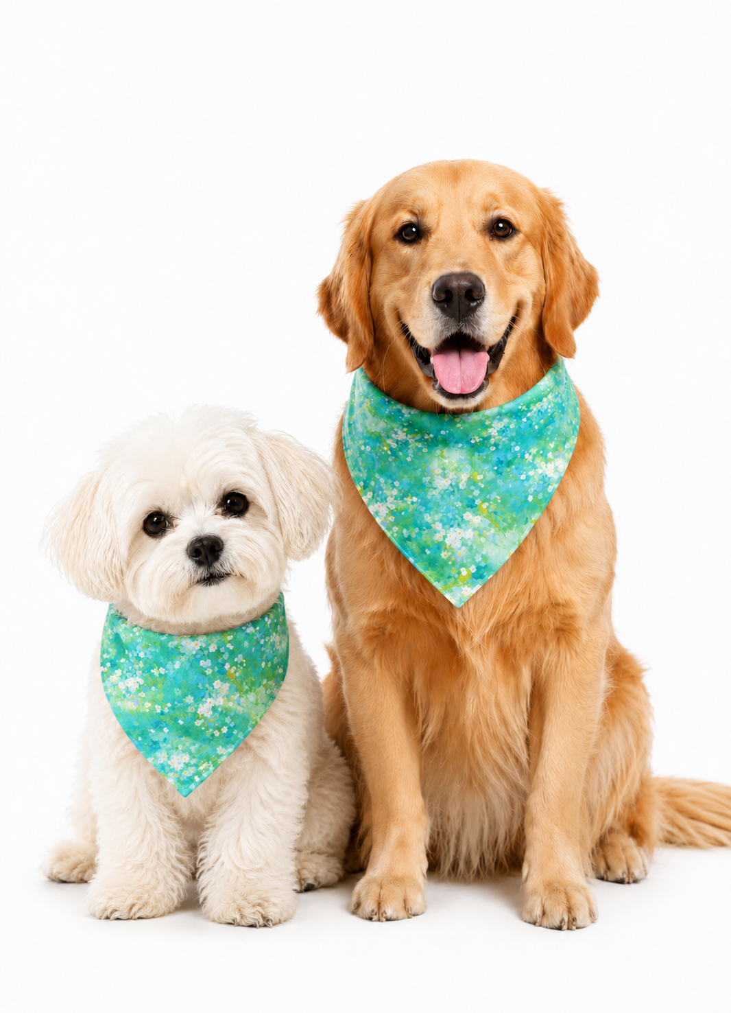 SOLISZEN Dog Bandana Product Image 905