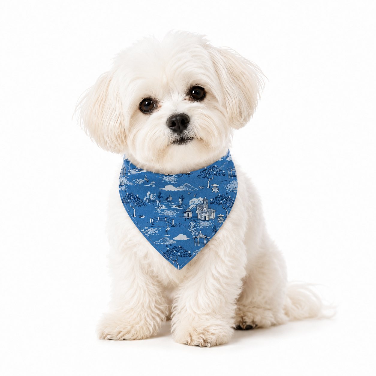 Blue pattern dog bandana scarf on a small white dog