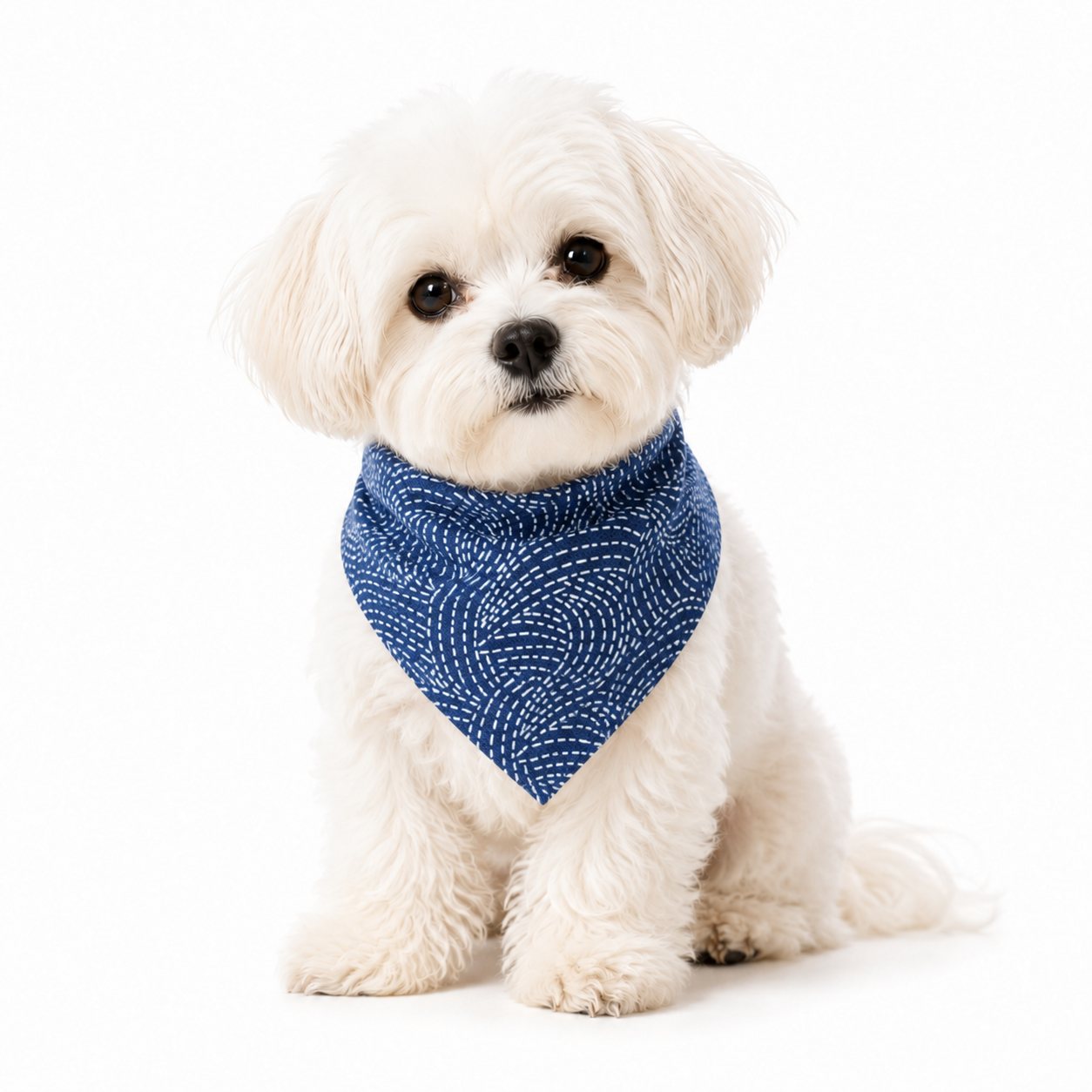 Blue Plaid Dog Bandana | Soft Twill Scarf for Small & Large Dogs - Image 3