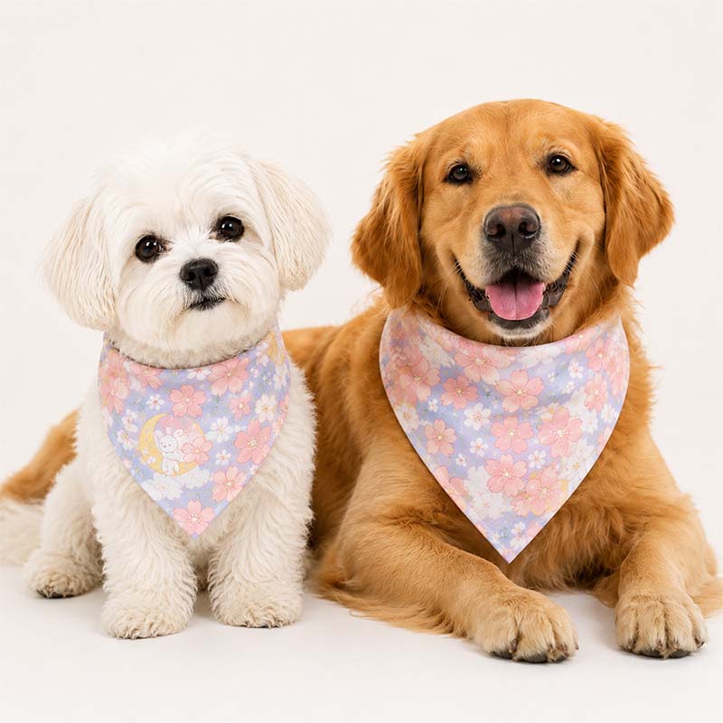 Small white dog and large golden retriever wearing pink floral dog bandanas