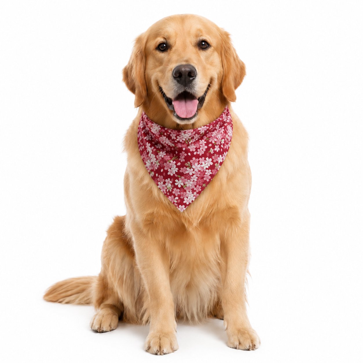 Red floral dog bandana scarf on golden retriever