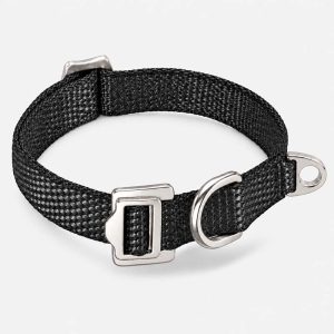 Adjustable Dog Collar