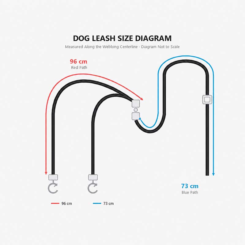 Dual dog leash diagram showing a 96 cm red path and a 73 cm blue path