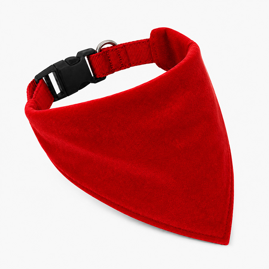 Christmas dog collar with red velvet bandana