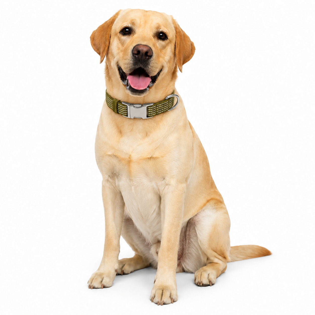 Reflective Nylon Dyneema Dog Collar | 316 Stainless Steel | S M L - Image 2