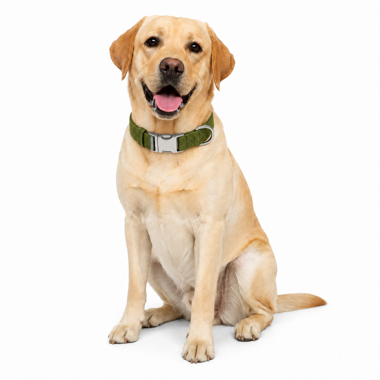 Nylon Dyneema Dog Collar | Heavy-Duty 316 Stainless Steel | S M L - Image 2