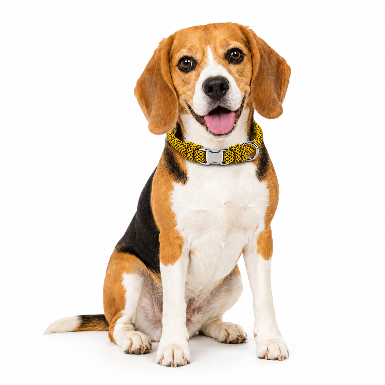 8.7mm Rope Dog Collar – 316 Stainless Steel - Image 2