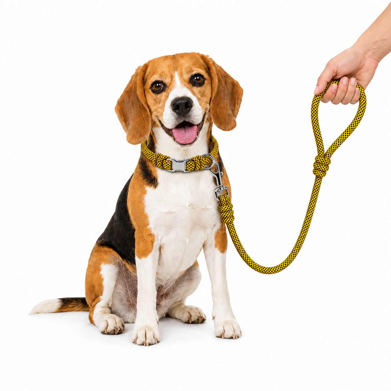 8.7mm Rope Dog Collar – 316 Stainless Steel - Image 3