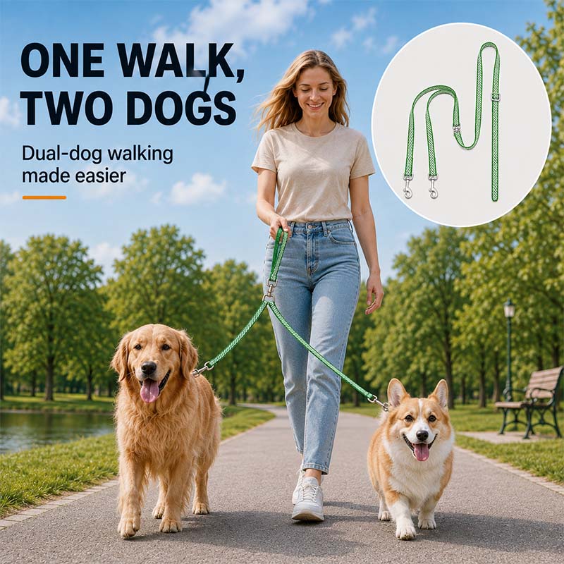 Person walking a golden retriever and corgi in a park with a green dual dog leash