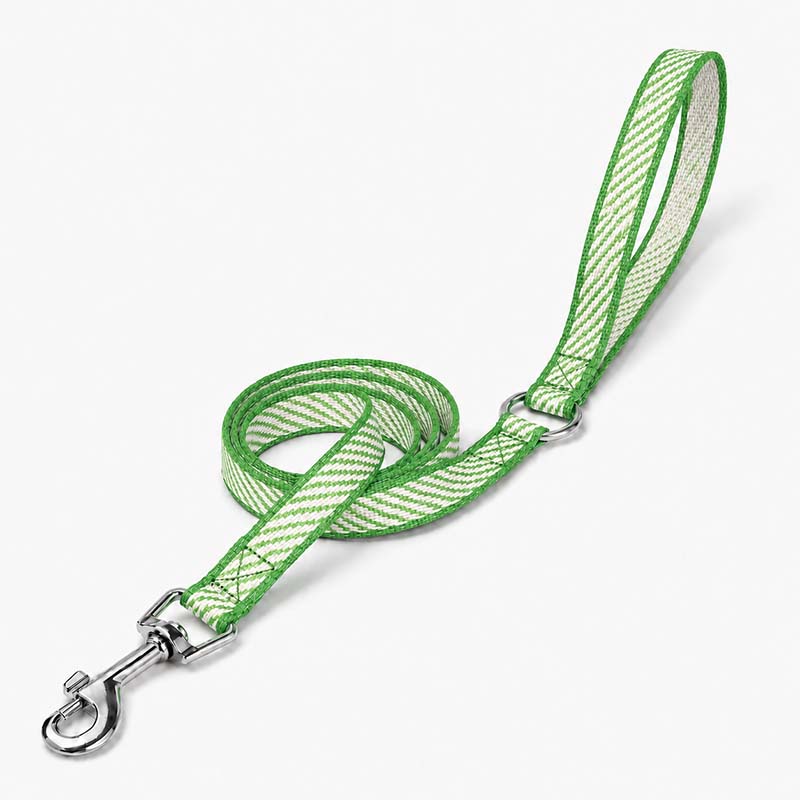 Green and white Dyneema UHMWPE dog leash with handle and swivel clip