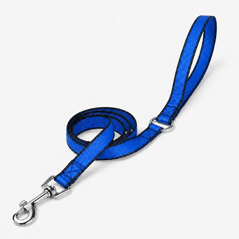 Blue reflective polyester dog leash, 1.5m length, 29mm width, 22kN tensile strength