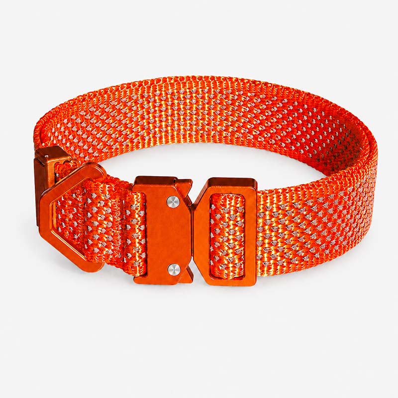 Orange reflective nylon Dyneema dog collar with metal quick-release buckle and D-ring