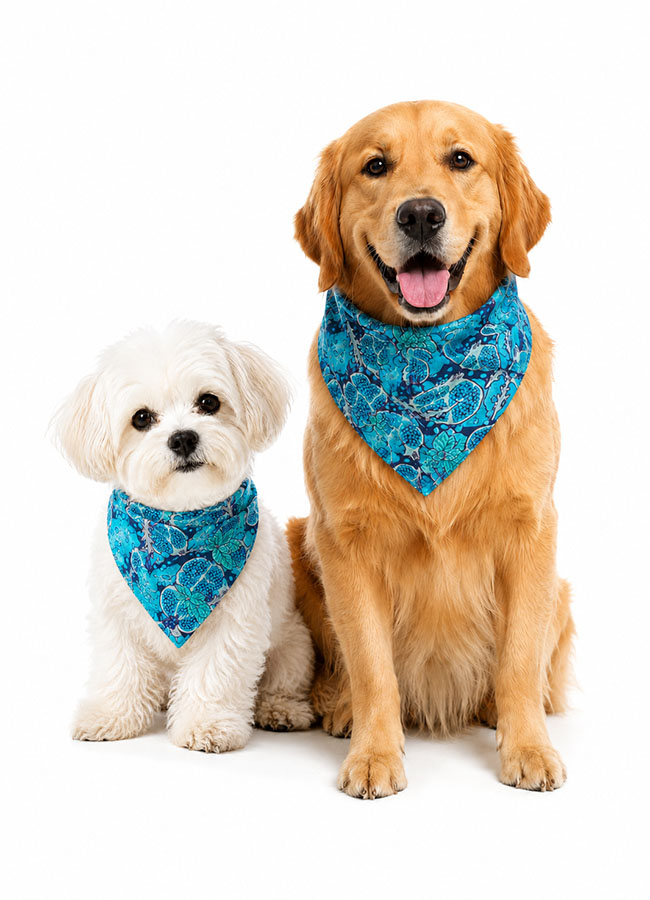 Blue floral dog bandana product entrance image
