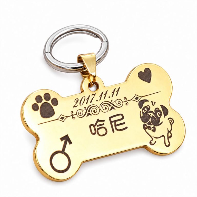 Gold-tone bone-shaped metal dog ID tag with sample engraving and a silver-tone split ring