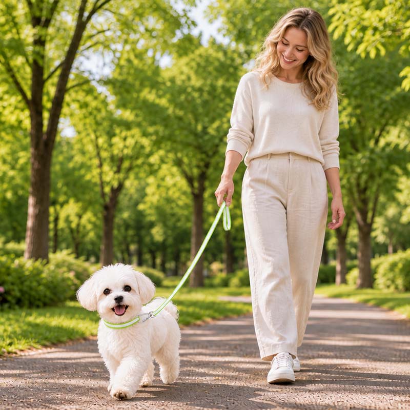 Small white dog walking in a park with a white and green FeatherStrong ultralight UHMWPE dog leash